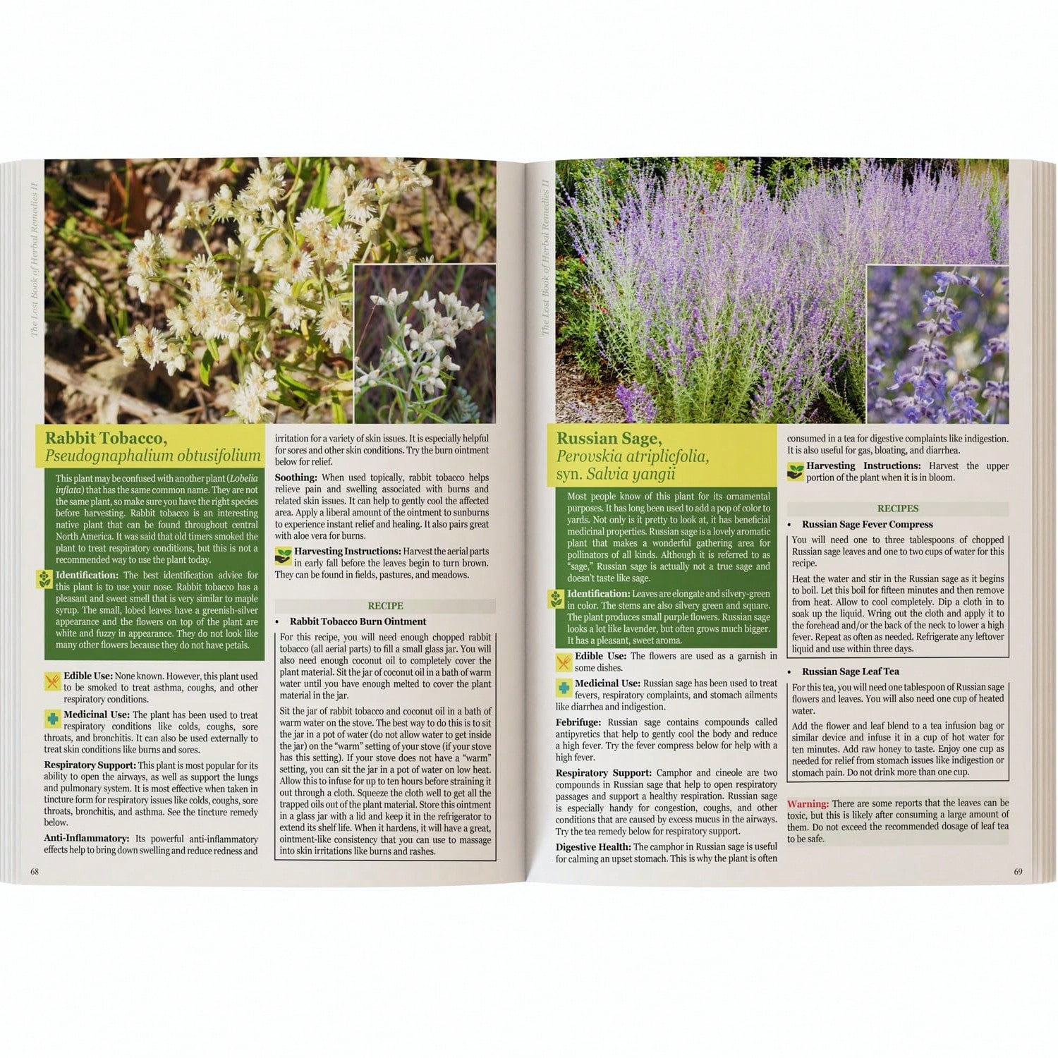 Herbal Wellness Book - The Holistic Guide To Wellness Color