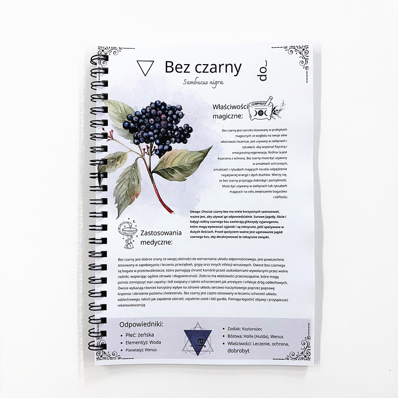 The Lost Book of Herbal Remedi - огляд і ціна Herbal Wellness Book