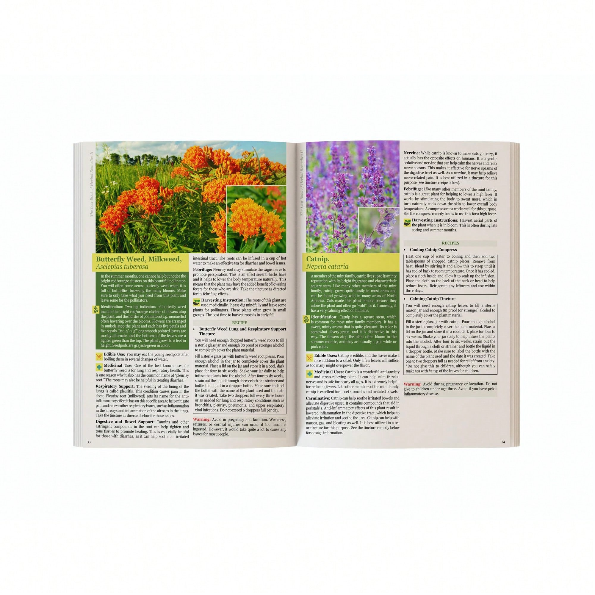 The Holistic Guide To Wellness - огляд і ціна Herbal Wellness Book