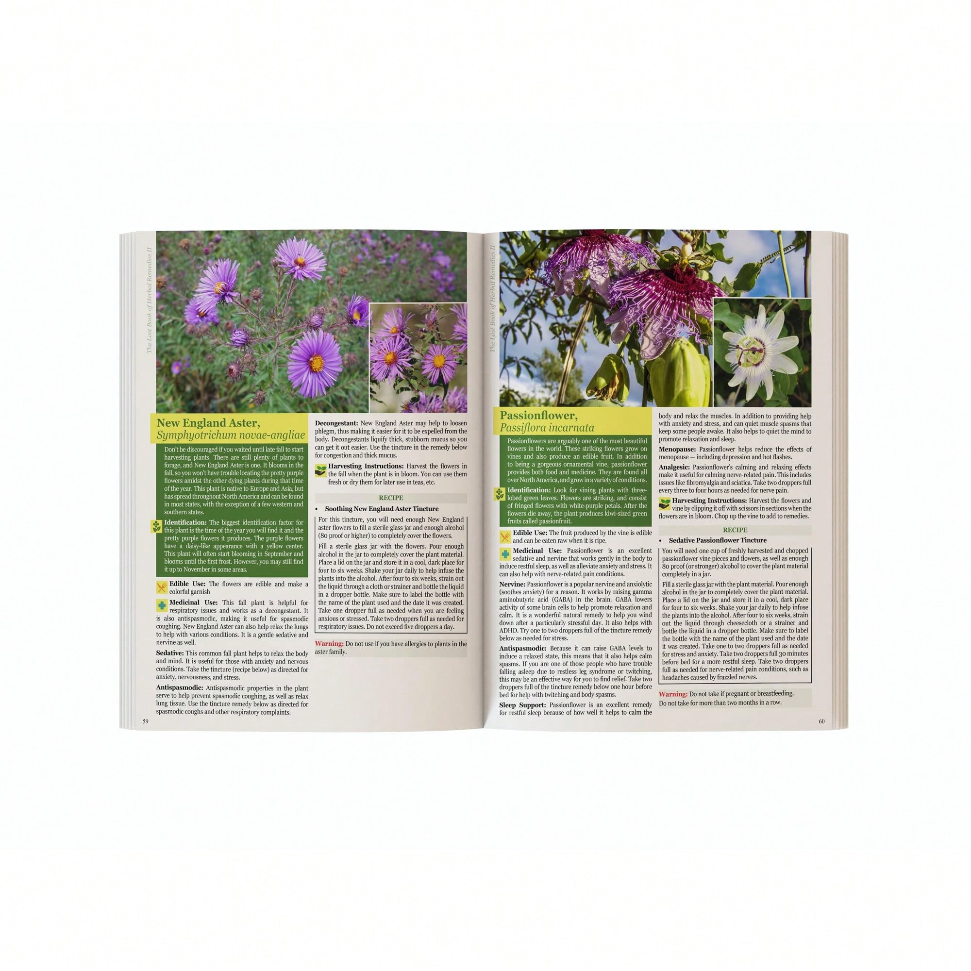 The Holistic Guide To Wellness - огляд і ціна Herbal Wellness Book